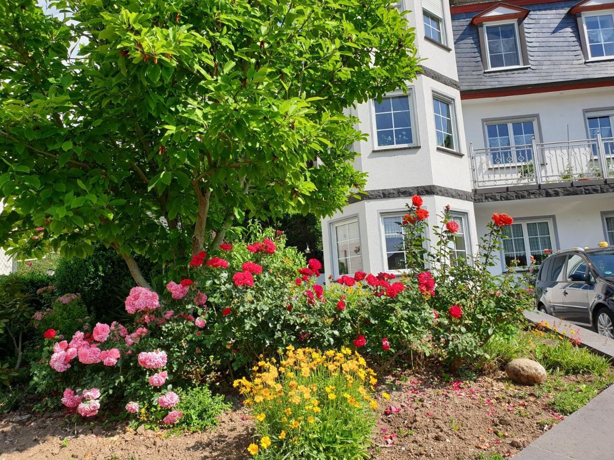 Ferienwohnung Thonnes Müden Exteriér fotografie